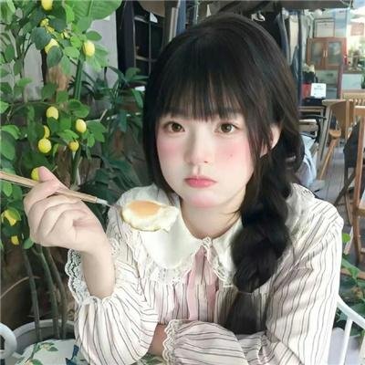豆豆猫