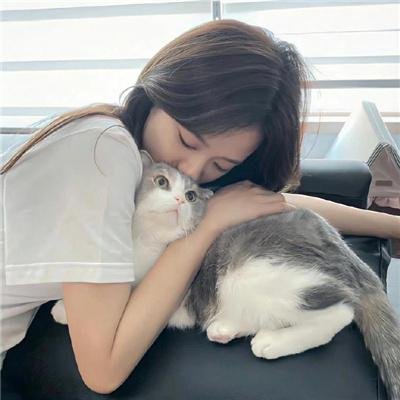 圣域第一季